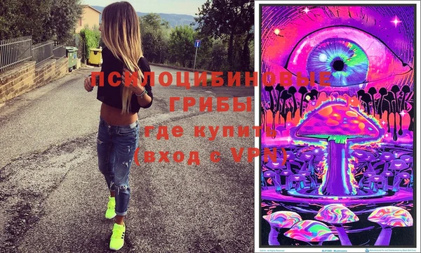 соль ск Кукмор