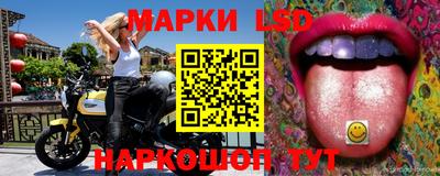 индика Донской