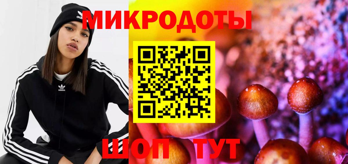 Галлюциногенные грибы Magic Shrooms  Псилоцибиновые грибы мицелий  продажа наркотиков  Мелеуз  Вход с VPN 