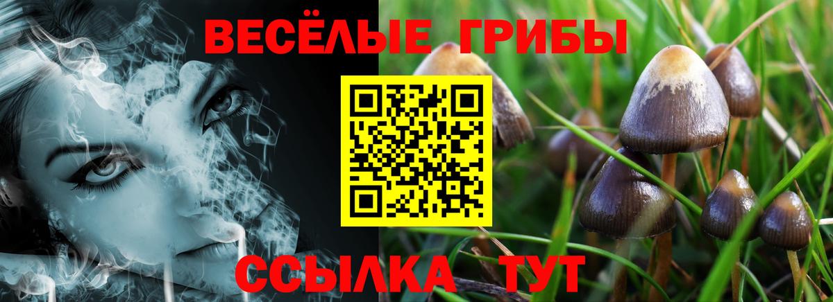 Alpha-PVP СОЛЬ   ГАШИШ  Как найти наркотики?  Вход с VPN  Гашиш  Мелеуз  Конопля  Вейп ТГК  КОКАИН  Меф МЯУ МЯУ кристаллы 